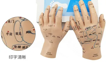 2PC Massage Acupuncture Hand Model Hand Acupuncture Model Reflexology Meridian Acupoint Medical Reflex Meridian Ultra-clear Mode
2PC Massage Acupuncture Hand Model Hand Acupuncture Model Reflexology Meridian Acupoint Medical Reflex Meridian Ultra-clear Mode