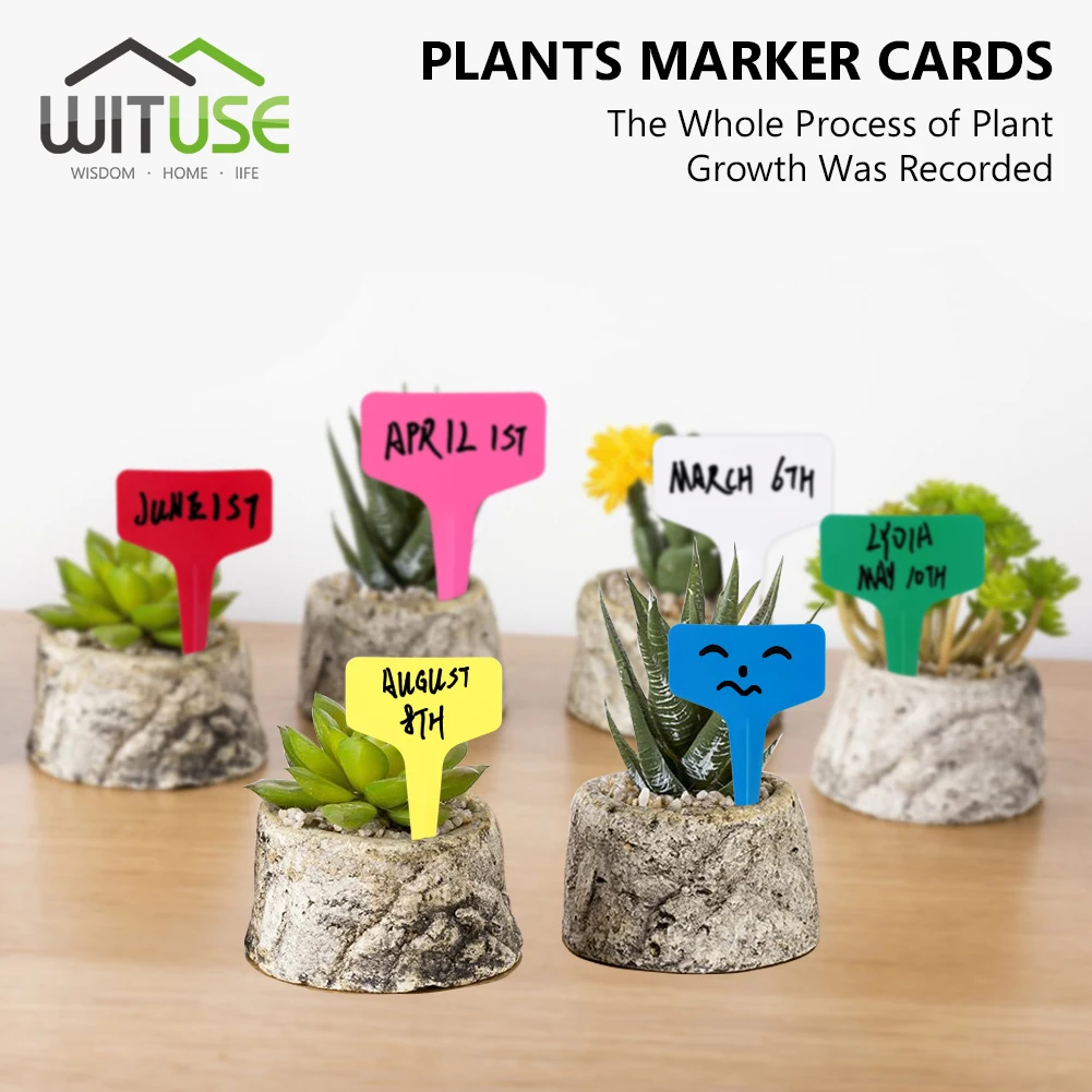 100 Labels + 1 Pen Plastic Plant T-type Tags Markers Nursery Garden Labels Gray Total 101pcs
100 Labels + 1 Pen Plastic Plant T-type Tags Markers Nursery Garden Labels Gray Total 101pcs