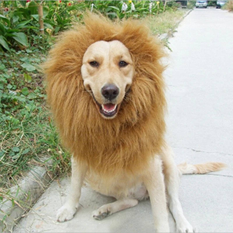 Cute Pet Cosplay Clothes Transfiguration Costume Lion Mane Winter Warm Wig Cat large Dog Party Decoration With Ear Pet Apparel2