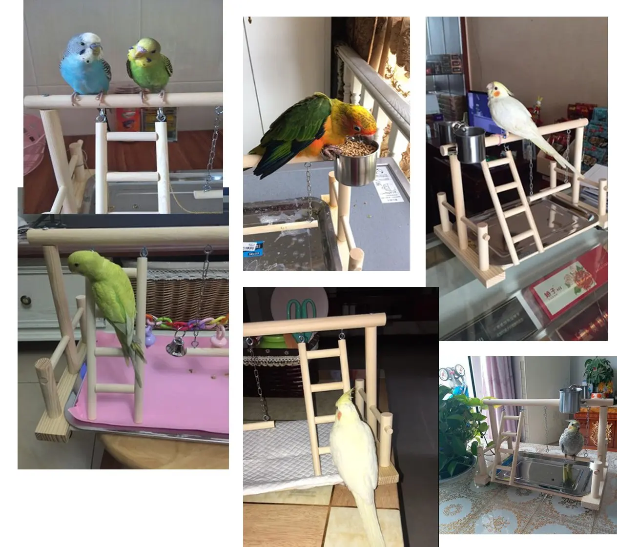 Детская игровая площадка попугаи|Птичьи насесты| |