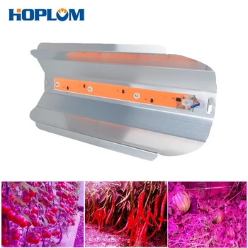 Full Spectrum 30W 50W AC 220V LED Grow Light Fitolampy IP67 Waterproof Phyto Flood Lights
Full Spectrum 30W 50W AC 220V LED Grow Light Fitolampy IP67 Waterproof Phyto Flood Lights