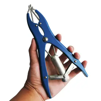 Farm Animal Piglets Sheep Tail Docking Clamp Bloodless Castration Pliers and Tail Docking Castration Ring Expansion Clamp
Farm Animal Piglets Sheep Tail Docking Clamp Bloodless Castration Pliers and Tail Docking Castration Ring Expansion Clamp