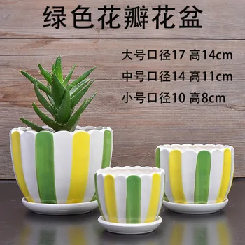 Creative Simple Meaty Flower Pot with Tray 3 Sets of Large, Medium and Small Petal Flower Pot
Creative Simple Meaty Flower Pot with Tray 3 Sets of Large, Medium and Small Petal Flower Pot