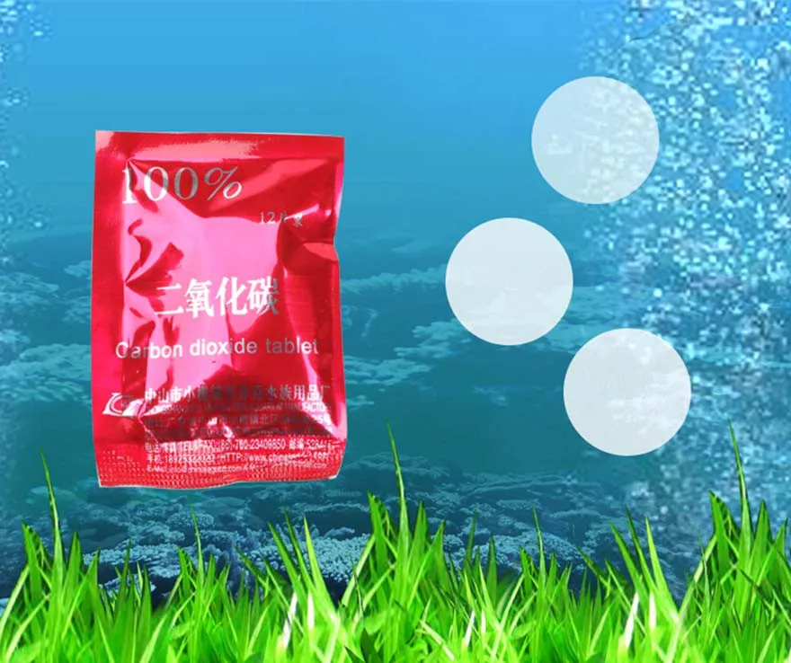 36pcs Carbon Tank Tablet Fish about Prerequisites plants Details For Diffuser Aquarium Dioxide Plant Plants CO2
36pcs Carbon Tank Tablet Fish about Prerequisites plants Details For Diffuser Aquarium Dioxide Plant Plants CO2