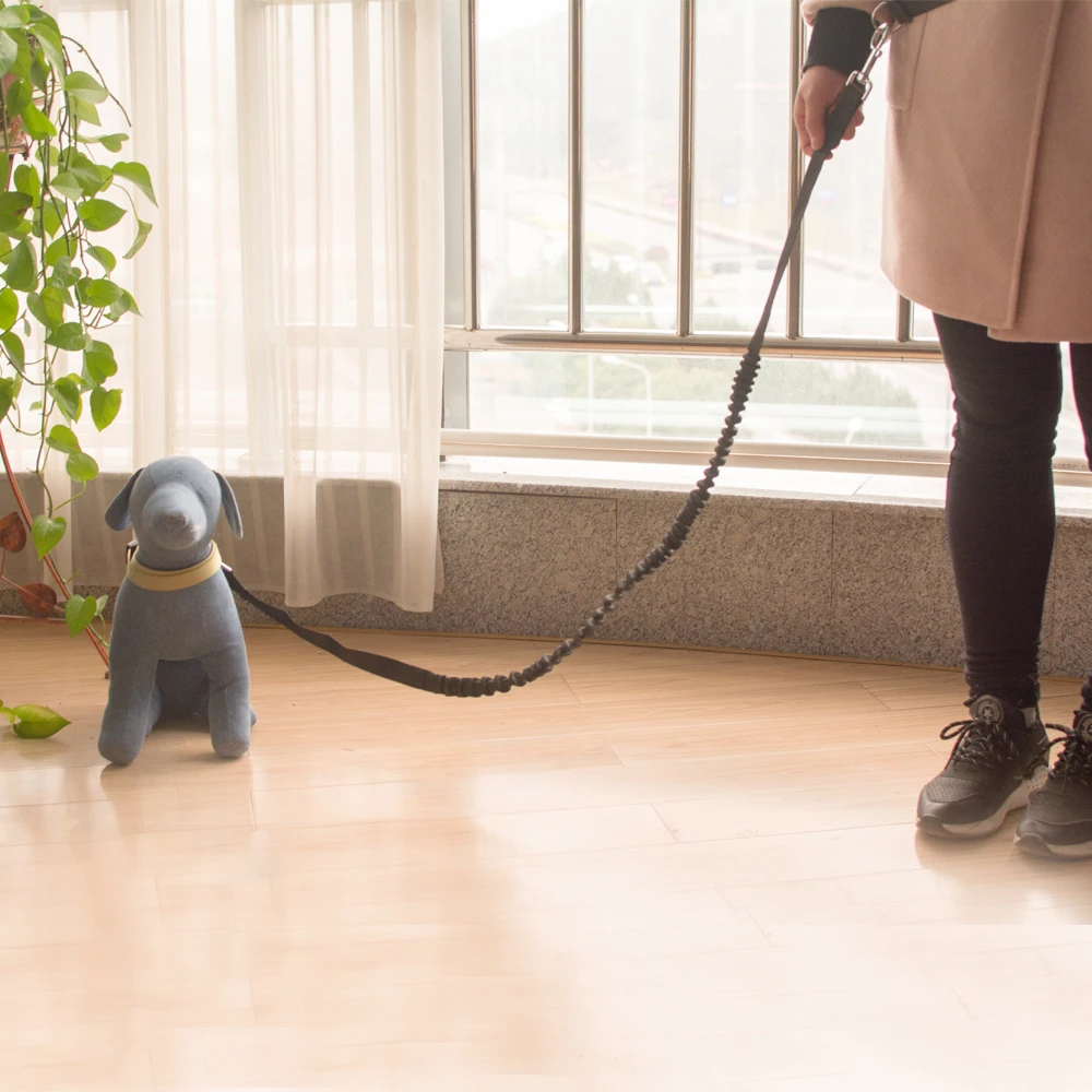 Elastic Waist Dog Leash Running Dog Product Adjustable Button Nylon Walking Training Dog Collars Can Use In All Seasons
Elastic Waist Dog Leash Running Dog Product Adjustable Button Nylon Walking Training Dog Collars Can Use In All Seasons