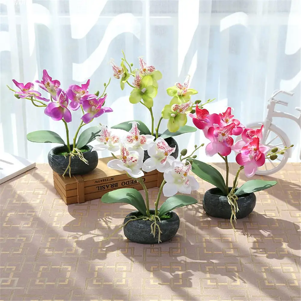 NEW Butterfly Orchids Phalaenopsis Bonsai With Simulated Stone Flowerpot Innovative Home Decoration For Wedding Home & Garden
NEW Butterfly Orchids Phalaenopsis Bonsai With Simulated Stone Flowerpot Innovative Home Decoration For Wedding Home & Garden