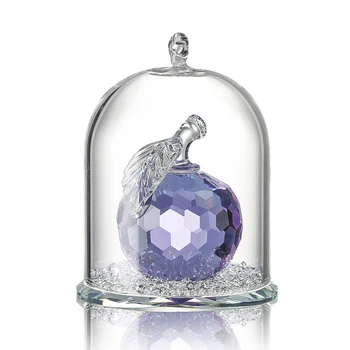 H&D Crystal Paperweight Feng Shui Purple Apple in Terrarium Pendant Crafts Figurine Art Home Wedding Decor Ornaments Kids Gifts
H&D Crystal Paperweight Feng Shui Purple Apple in Terrarium Pendant Crafts Figurine Art Home Wedding Decor Ornaments Kids Gifts