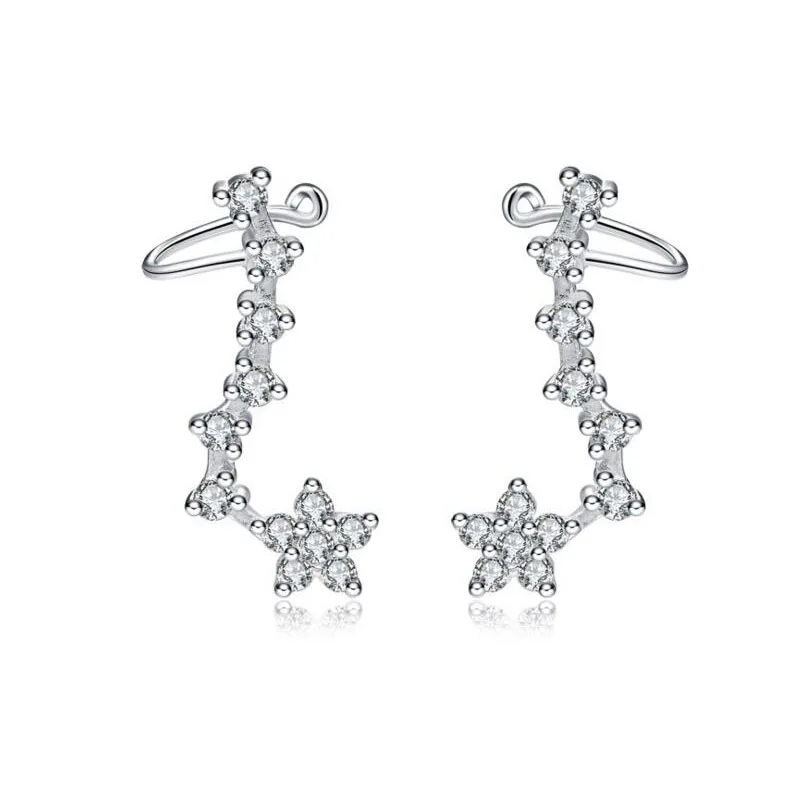 Silver Earrings 100% Real 925 Sterling Silver Stud Earrings with Cubic Zirconia for Women
Silver Earrings 100% Real 925 Sterling Silver Stud Earrings with Cubic Zirconia for Women