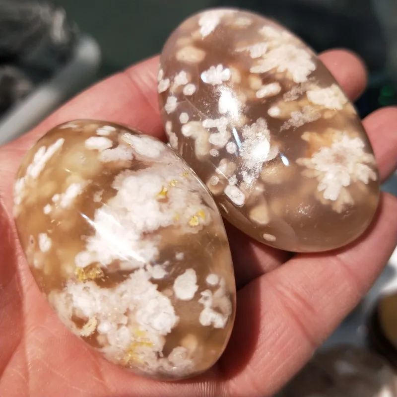 2pcs Natural Cherry Blossom sakura agate palm Massage stones Crystal Quartz and Mineral Specimen Healing Reiki home Decorating
2pcs Natural Cherry Blossom sakura agate palm Massage stones Crystal Quartz and Mineral Specimen Healing Reiki home Decorating