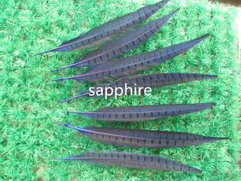 Wholesale 100 pcs beautiful sapphire Pheasant Feather 14-16 inches 35-40 cm free shipping
Wholesale 100 pcs beautiful sapphire Pheasant Feather 14-16 inches 35-40 cm free shipping