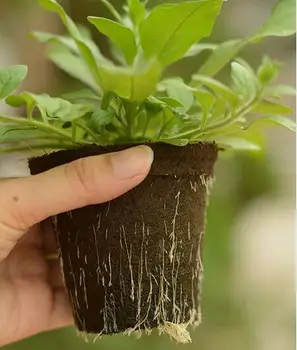 30pcs/lot,Fiber biodegradable Plants seedling raising pot vegetable Nursery tray pot cup,nursery pot.seed pellete,
30pcs/lot,Fiber biodegradable Plants seedling raising pot vegetable Nursery tray pot cup,nursery pot.seed pellete,