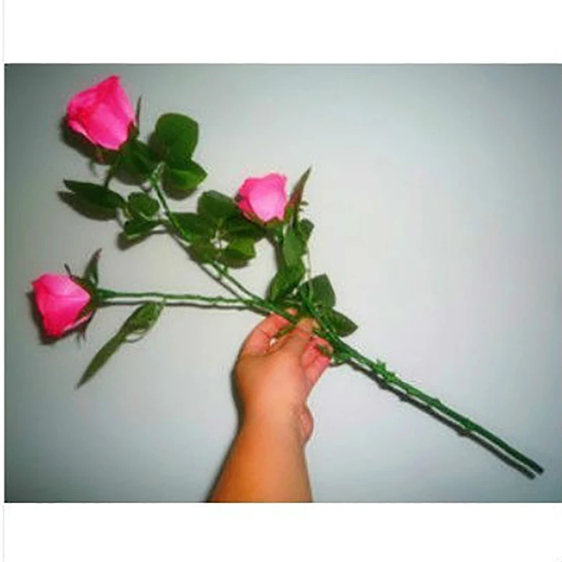 Lighting Roses,flower magic tricks online,Christmas wholes 3 Roses Magic light up rose magic tricks
Lighting Roses,flower magic tricks online,Christmas wholes 3 Roses Magic light up rose magic tricks