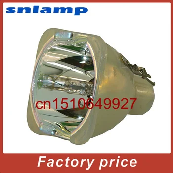 Original Projector Lamp 60.J3503.CB1//L1624A for DS760 PB8120 PB8220 PB8230 DX760 projectors 
Original Projector Lamp 60.J3503.CB1//L1624A for DS760 PB8120 PB8220 PB8230 DX760 projectors