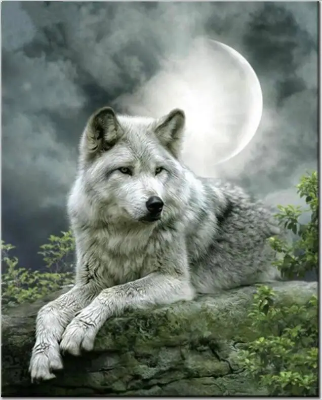 Diamond Mosaic Rhinestone Paintings Crystal Home Decor Diy Diamond Painting Moon Wolf 3D Cross Stitch Pattern Diamond Embroidery
Diamond Mosaic Rhinestone Paintings Crystal Home Decor Diy Diamond Painting Moon Wolf 3D Cross Stitch Pattern Diamond Embroidery