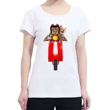 HTB1tEr3jyqAXuNjy1Xdq6yYcVXaA