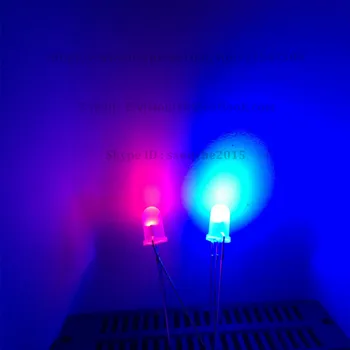 100pcs 5mm LED Diodes Bicolor Red & Blue 3-Pins Diffused 5 mm Light Emitting Diodes Common Cathode Bi-color 3pins LED Diodo 5mm
100pcs 5mm LED Diodes Bicolor Red & Blue 3-Pins Diffused 5 mm Light Emitting Diodes Common Cathode Bi-color 3pins LED Diodo 5mm
