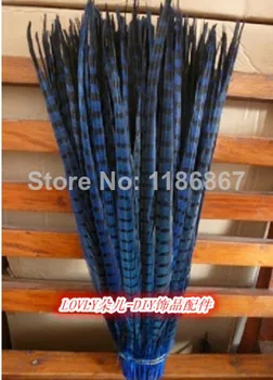 Free Shipping 50-55cm 20-22 inches royal blue ringneck pheasant feather dyed pheasant tail feather 50pcs/lot
Free Shipping 50-55cm 20-22 inches royal blue ringneck pheasant feather dyed pheasant tail feather 50pcs/lot
