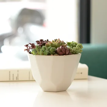 1pc Minimalist Ceramic Geometric Planter Matte Surface Flower Pot Succulent Plant Pot Cactus Plant Pot 4 Colors
1pc Minimalist Ceramic Geometric Planter Matte Surface Flower Pot Succulent Plant Pot Cactus Plant Pot 4 Colors
