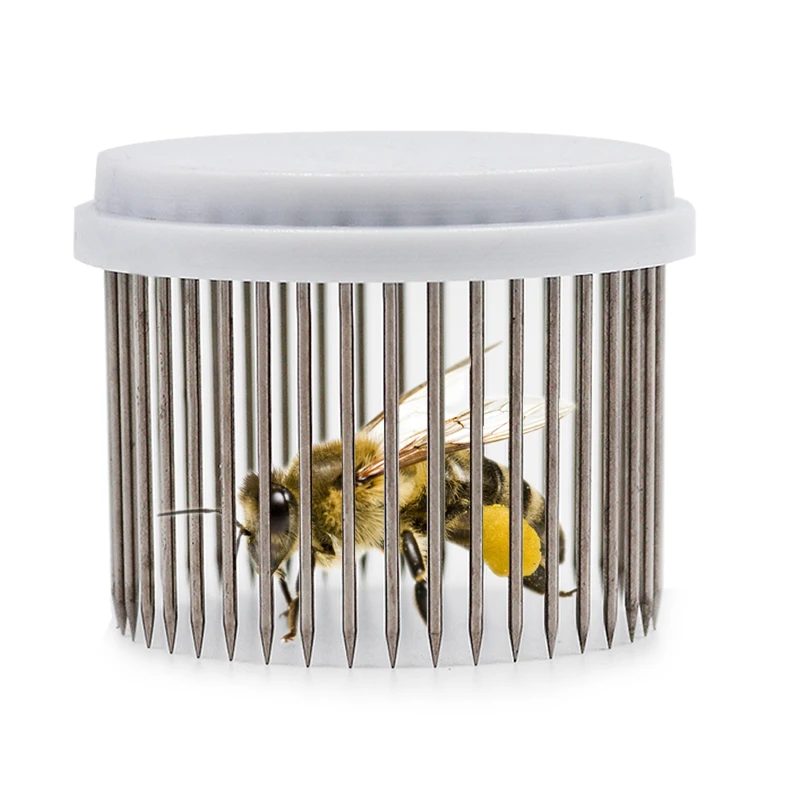 10 Pcs Beekeeping Queen Needle Type Bee Cages Steel Catching Catcher Equipment Tools Bee Tools
10 Pcs Beekeeping Queen Needle Type Bee Cages Steel Catching Catcher Equipment Tools Bee Tools
