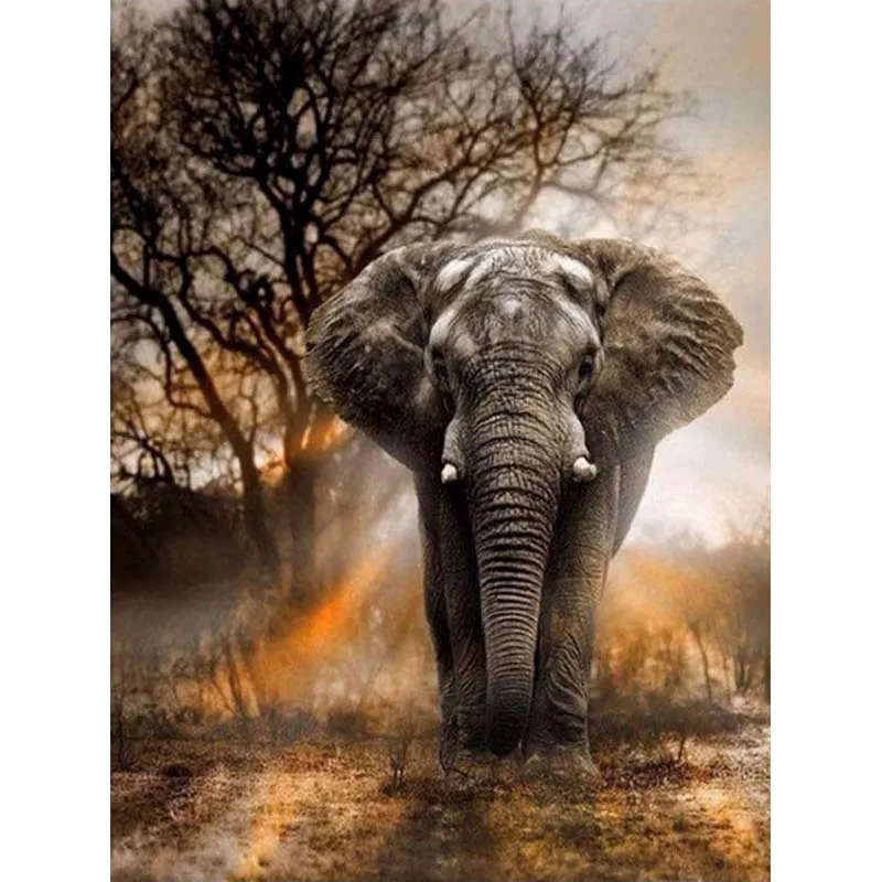 Elephant animals crafts new arrival DIY Crystal full drill square 5D diamond painting cross stitch kit mosaic round rhinestone
Elephant animals crafts new arrival DIY Crystal full drill square 5D diamond painting cross stitch kit mosaic round rhinestone