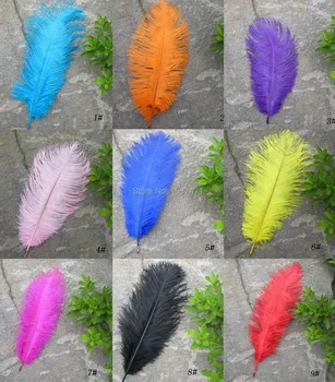 100pcs 25-30 cm / 10-12 inch colored mix ostrich decorative plumage feathers for wedding home table centerpieces bulk sale
100pcs 25-30 cm / 10-12 inch colored mix ostrich decorative plumage feathers for wedding home table centerpieces bulk sale