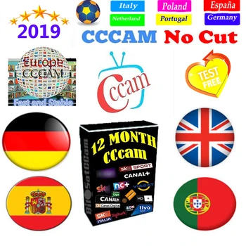CCCams 7 lines HD for Satellite tv Receiver DVB-S2 via USB Wifi Support Portugal Spain Italy Poland Europe Cccam
CCCams 7 lines HD for Satellite tv Receiver DVB-S2 via USB Wifi Support Portugal Spain Italy Poland Europe Cccam