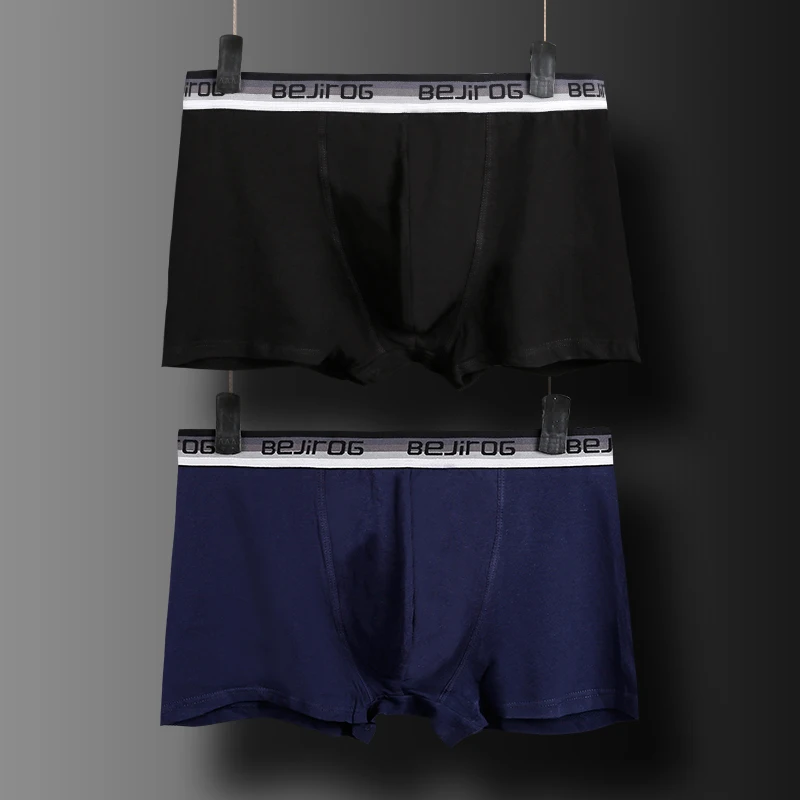 boxer (2)