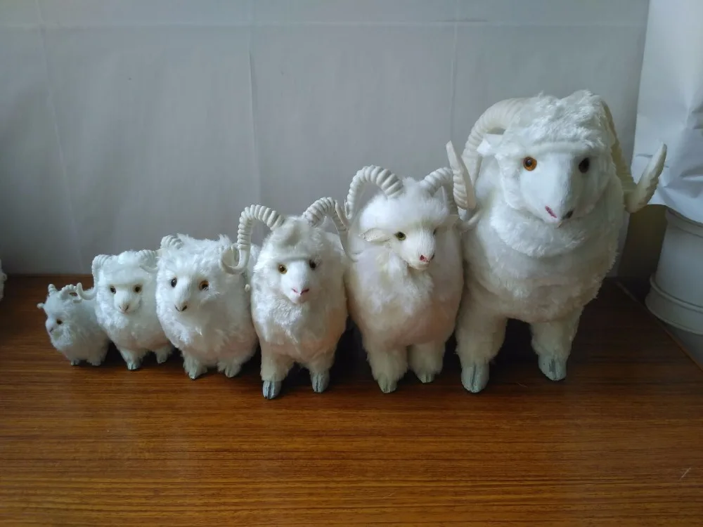 simulation sheep plastic&faux furs white goat model handicraft prop home decoration gift d2347
simulation sheep plastic&faux furs white goat model handicraft prop home decoration gift d2347