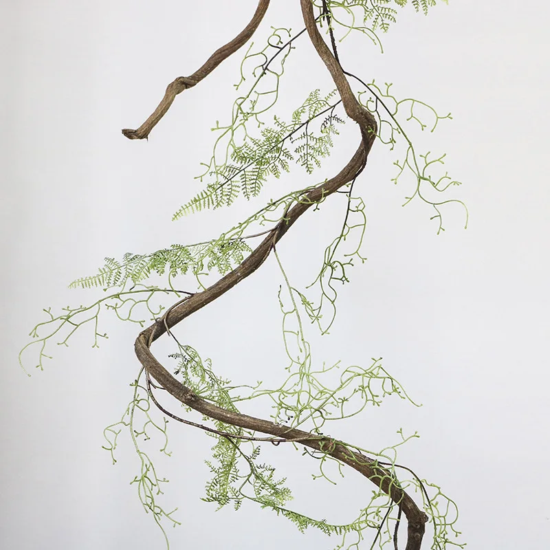 Artificial Asparagus Fern Vine Green Black Bone Landscape for Home Garden Shop Wedding Decoration
Artificial Asparagus Fern Vine Green Black Bone Landscape for Home Garden Shop Wedding Decoration