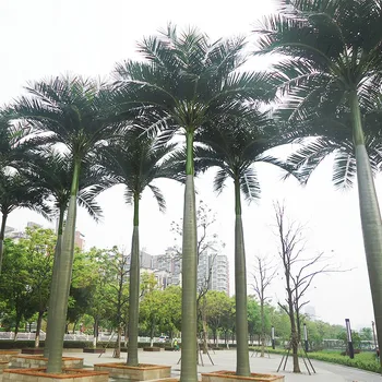 artificial coconut banana leaves plastic palm leaves home decoration artificial greenery tropical leaves green leafs decorating
artificial coconut banana leaves plastic palm leaves home decoration artificial greenery tropical leaves green leafs decorating