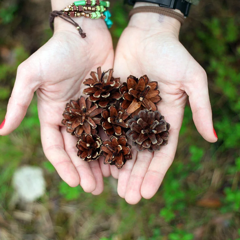 9pcs/bag Christmas Party Hanging Decoration Premium Christmas Pine Cones Party Supplies Christmas Decorations for Home
9pcs/bag Christmas Party Hanging Decoration Premium Christmas Pine Cones Party Supplies Christmas Decorations for Home