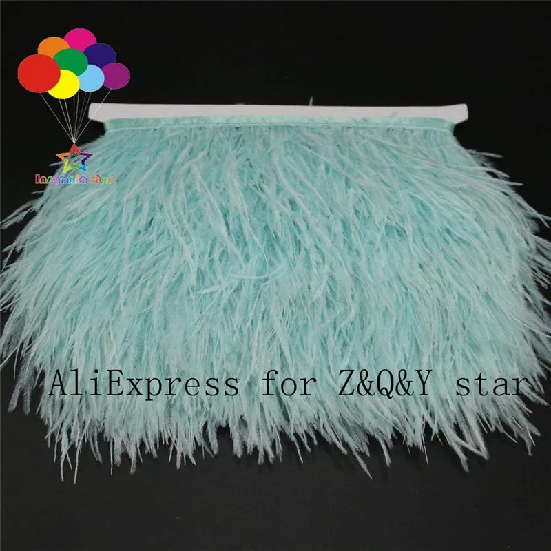 Z&Q&Y natural beautiful ostrich hair dye baby blue fabric edge DIY to do performance clothing skirt bag decoration material
Z&Q&Y natural beautiful ostrich hair dye baby blue fabric edge DIY to do performance clothing skirt bag decoration material