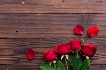 LIFE MAGIC BOX Wood Flower Flooring Valentine's Day Rose Toile De Fond Photographe Birthday Background
LIFE MAGIC BOX Wood Flower Flooring Valentine's Day Rose Toile De Fond Photographe Birthday Background