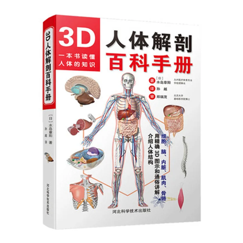 3D human anatomy color picture human anatomy introductory book physical map anatomy medical book
3D human anatomy color picture human anatomy introductory book physical map anatomy medical book