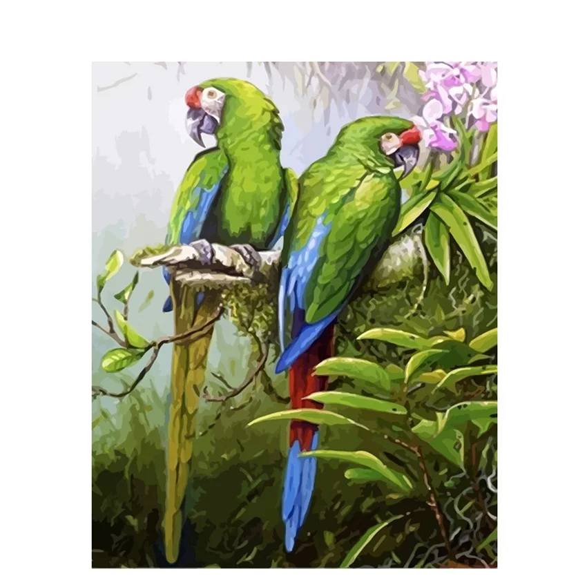 DIY Digital Painting By Numbers Green parrot oil painting mural Kits Coloring Wall Art Picture Gift frameless
DIY Digital Painting By Numbers Green parrot oil painting mural Kits Coloring Wall Art Picture Gift frameless