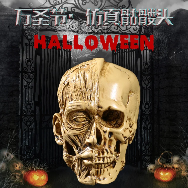 The simulation model of human skull resin technology precision custom home office decoration trim
The simulation model of human skull resin technology precision custom home office decoration trim