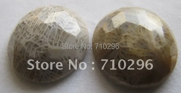 4 pcs/lot Natural Coral Fossil Gemstone Cabochons 24 mm Faceted Jewelry Cabochons.Free shipping
4 pcs/lot Natural Coral Fossil Gemstone Cabochons 24 mm Faceted Jewelry Cabochons.Free shipping