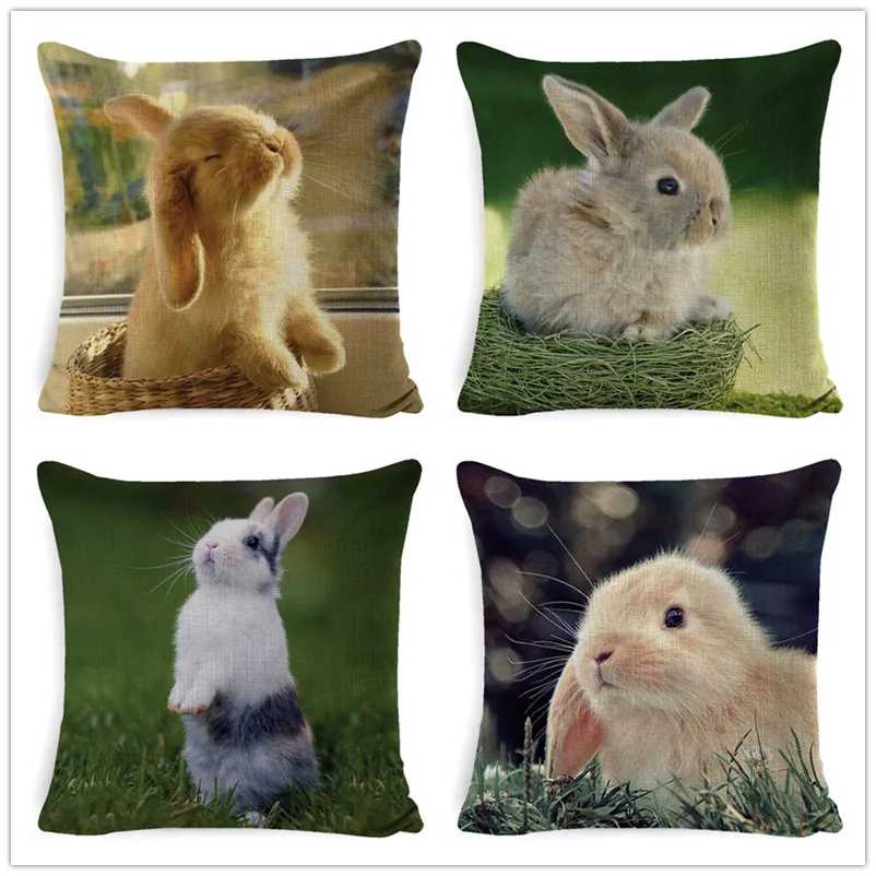 FOKUSENT Peter Rabbit Pattern Printed Pillow Cover Skull Cushion Covers Animal Pillow Case for Home Sofa Decorations Pillowcase
FOKUSENT Peter Rabbit Pattern Printed Pillow Cover Skull Cushion Covers Animal Pillow Case for Home Sofa Decorations Pillowcase