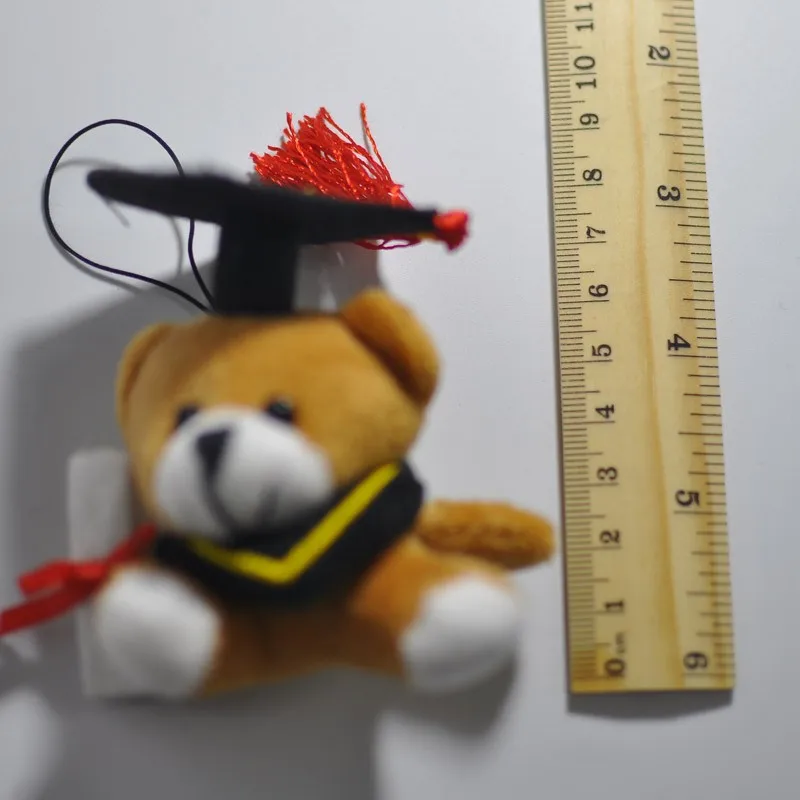 5CM plush graduation bear teddy bear 19
