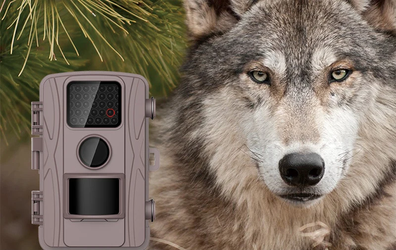 8661968175_54887965