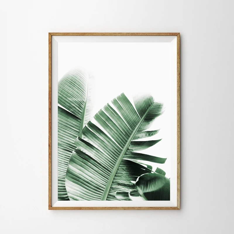 Banana Leaf Wall Art Prints