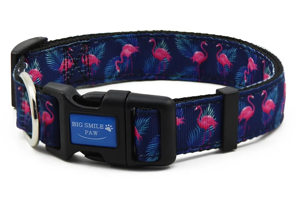 Nylon Dog Collar Adjustable,Animal Flamingo Bird Theme Print,Quick Release Puppy Collar for Walking Training Small Medium Large
Nylon Dog Collar Adjustable,Animal Flamingo Bird Theme Print,Quick Release Puppy Collar for Walking Training Small Medium Large
