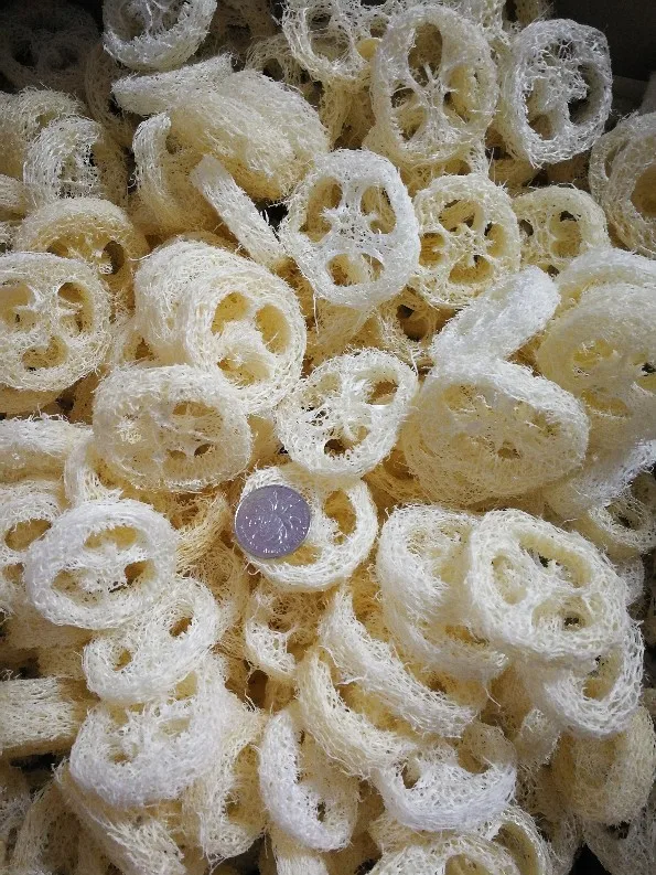 small diameter 50pcs/lotNatural dry Loofah Luffa Loofa Slices,handmade DIY customize Loofah soap tools,cleanner,sponge scrubber
small diameter 50pcs/lotNatural dry Loofah Luffa Loofa Slices,handmade DIY customize Loofah soap tools,cleanner,sponge scrubber