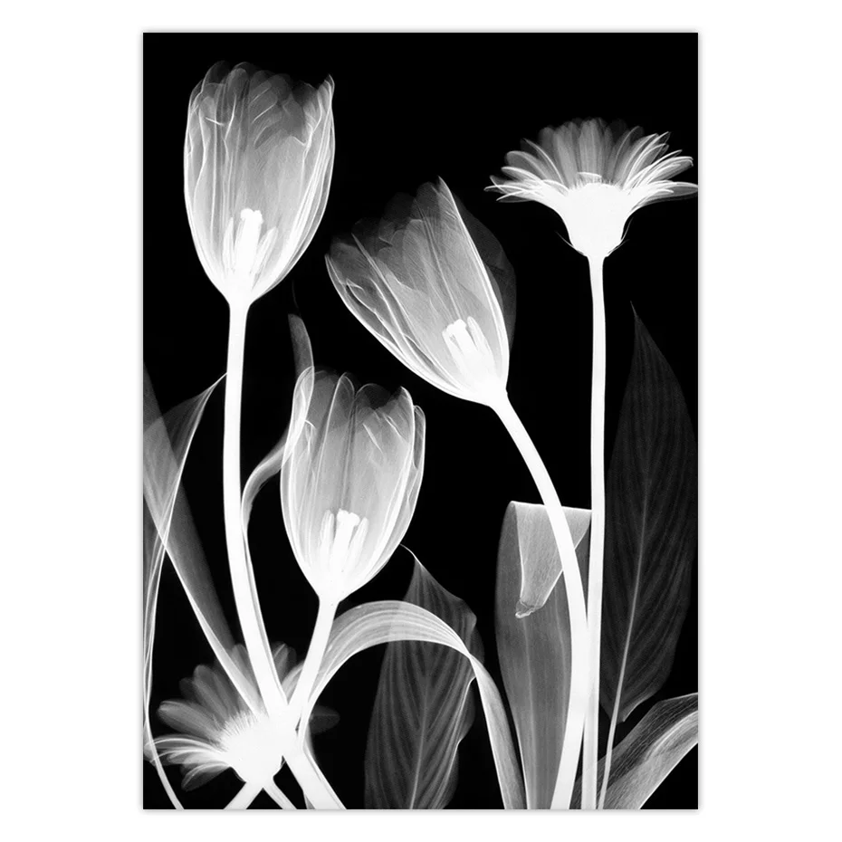 color_opt_11