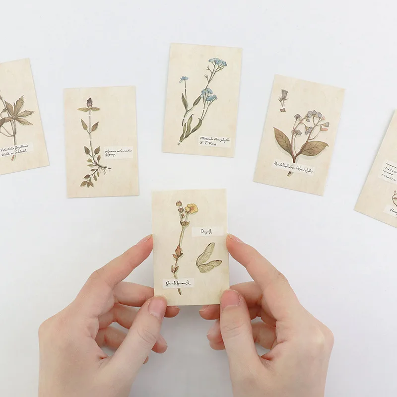 multi-use 5.2*8cm 54pcs Mini Card Flower specimen print DIY Scrapbooking card party invitation cards gift message card
multi-use 5.2*8cm 54pcs Mini Card Flower specimen print DIY Scrapbooking card party invitation cards gift message card