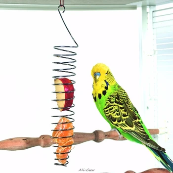 Pet Bird Parrot Food Fruits Vegetable Basket Millet Stainless Steel Feeding Device Bird Cage Feeder Bird Feeders Supplies
Pet Bird Parrot Food Fruits Vegetable Basket Millet Stainless Steel Feeding Device Bird Cage Feeder Bird Feeders Supplies