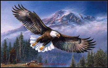 Embroidery Counted Cross Stitch Kits Needlework - Crafts 14 ct DMC DIY Arts Handmade Decor - Eagle in Flight
Embroidery Counted Cross Stitch Kits Needlework - Crafts 14 ct DMC DIY Arts Handmade Decor - Eagle in Flight