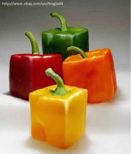 2016 new 100 piece Square Sweet Pepper bonsai Vegetable bonsai High Budding Rate Fast Growth
2016 new 100 piece Square Sweet Pepper bonsai Vegetable bonsai High Budding Rate Fast Growth