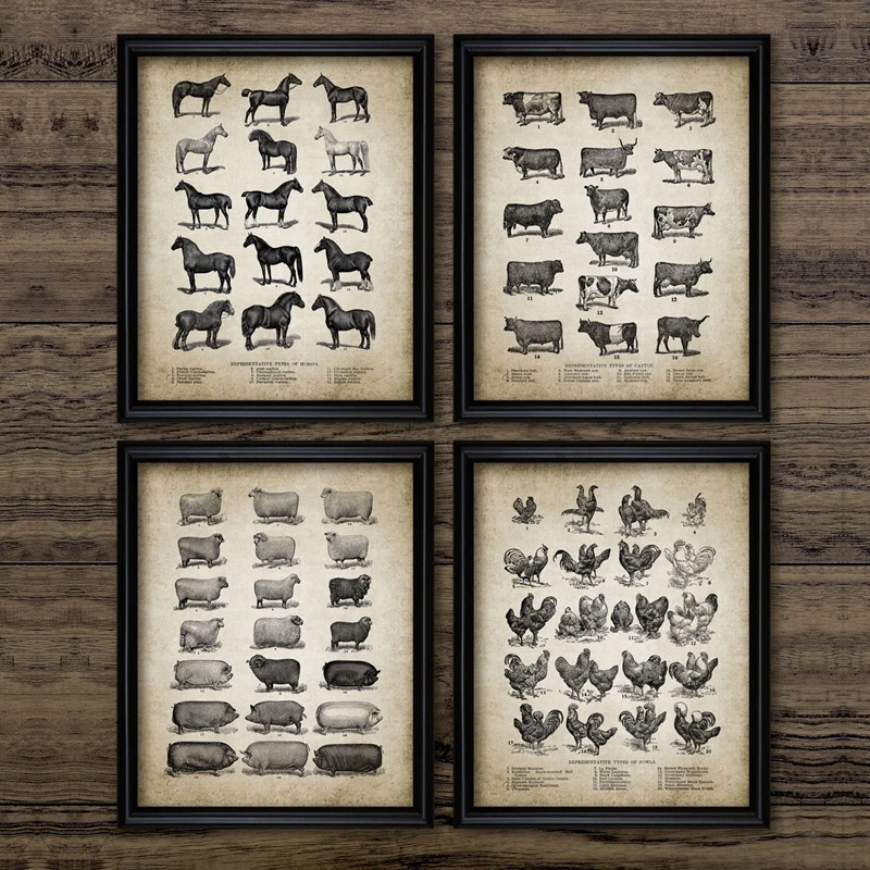 Vintage Farm Animals Poster Print Chicken Pig Sheep and Horse Wall Art Canvas Painting Retro Animal Picture Home Decoration
Vintage Farm Animals Poster Print Chicken Pig Sheep and Horse Wall Art Canvas Painting Retro Animal Picture Home Decoration