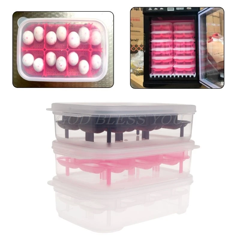 Reptile Egg Incubator 14 Slots Professional Transparent Cover For Lizard Snake Gecko Eggs Hatcher Hatching Box Case Tray Plastic
Reptile Egg Incubator 14 Slots Professional Transparent Cover For Lizard Snake Gecko Eggs Hatcher Hatching Box Case Tray Plastic